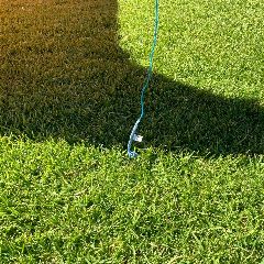 2025 Psycho - 8 metre - Image 6