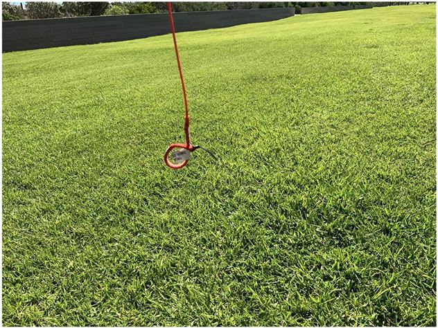 2025 Naish Triad 2024/25