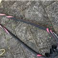 Various - Sails, Masts, Harness - 5