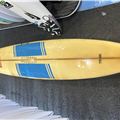 Midget Farrelly Longboard - 10' 1
