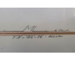 Delta  7' 9" surfing longboards (7' and over)