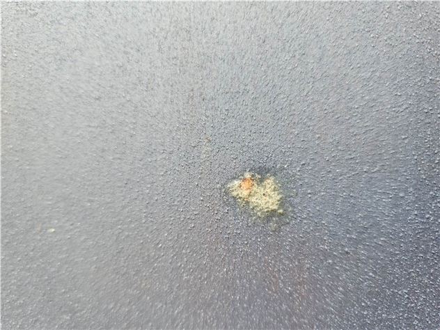 2019 JP Australia Freestyle Wave Pro Edition 79 - 225 cm, 79 litres