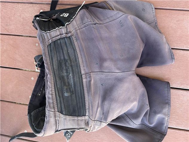 2022 Ion Harness Shorts