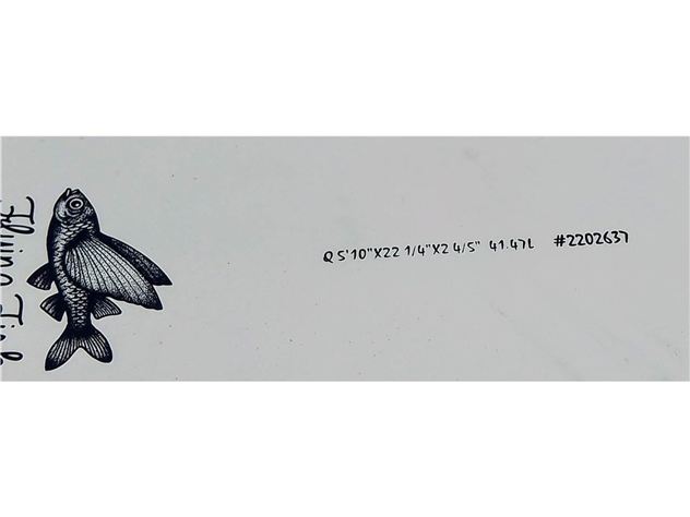 Aqss Flying Fish - 5' 10"