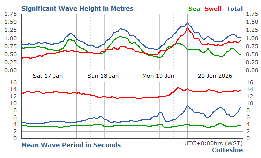 Cottesloe Live Swell Report