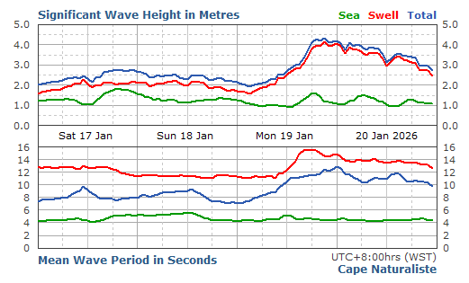 Cape Naturalist Live Swell Report