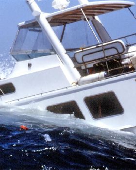 Sad Beginning (and End) to Our Dive Trip