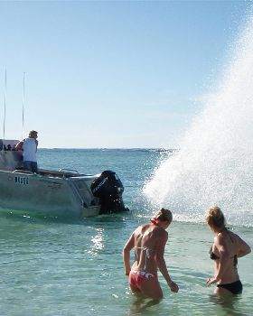 Groomys Burnout