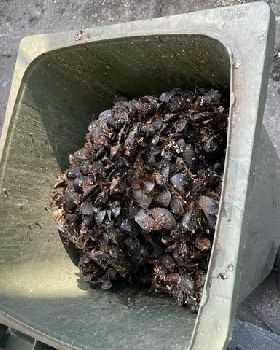 mussels on boats wasted