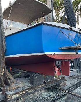 mussels on boats wasted