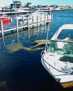 Should Have Taken the Dive Gear