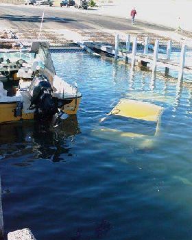 Should Have Taken the Dive Gear