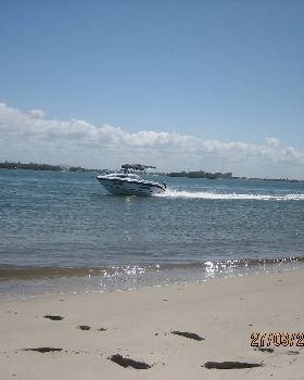 Pursuit 550F