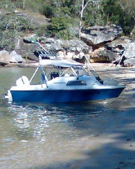my haines hunter 445c