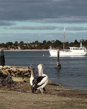 Leearcki at America River - South Australia