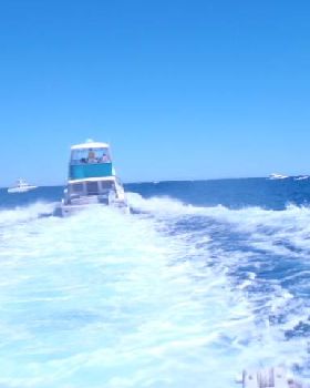 Rotto March 2012 207