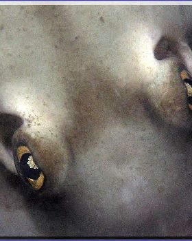 Stingaree Eyes in Botany Bay