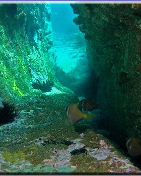 LoxPix Sub-Aqua shot