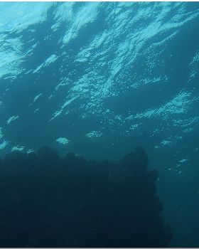 LoxPix Sub-Aqua Image