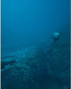 LoxPix Sub-Aqua Image