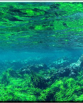 LoxPix Sub-Aqua Image