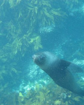 10-22-7 Perth Rottnest 248