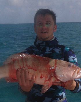 Coral Trout