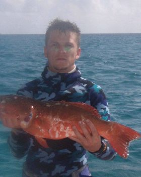 Coral Trout