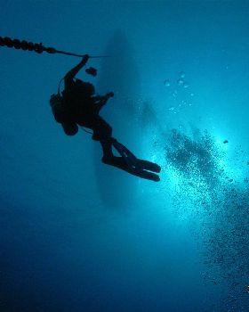deep dive