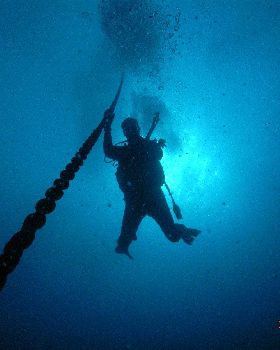 deep dive
