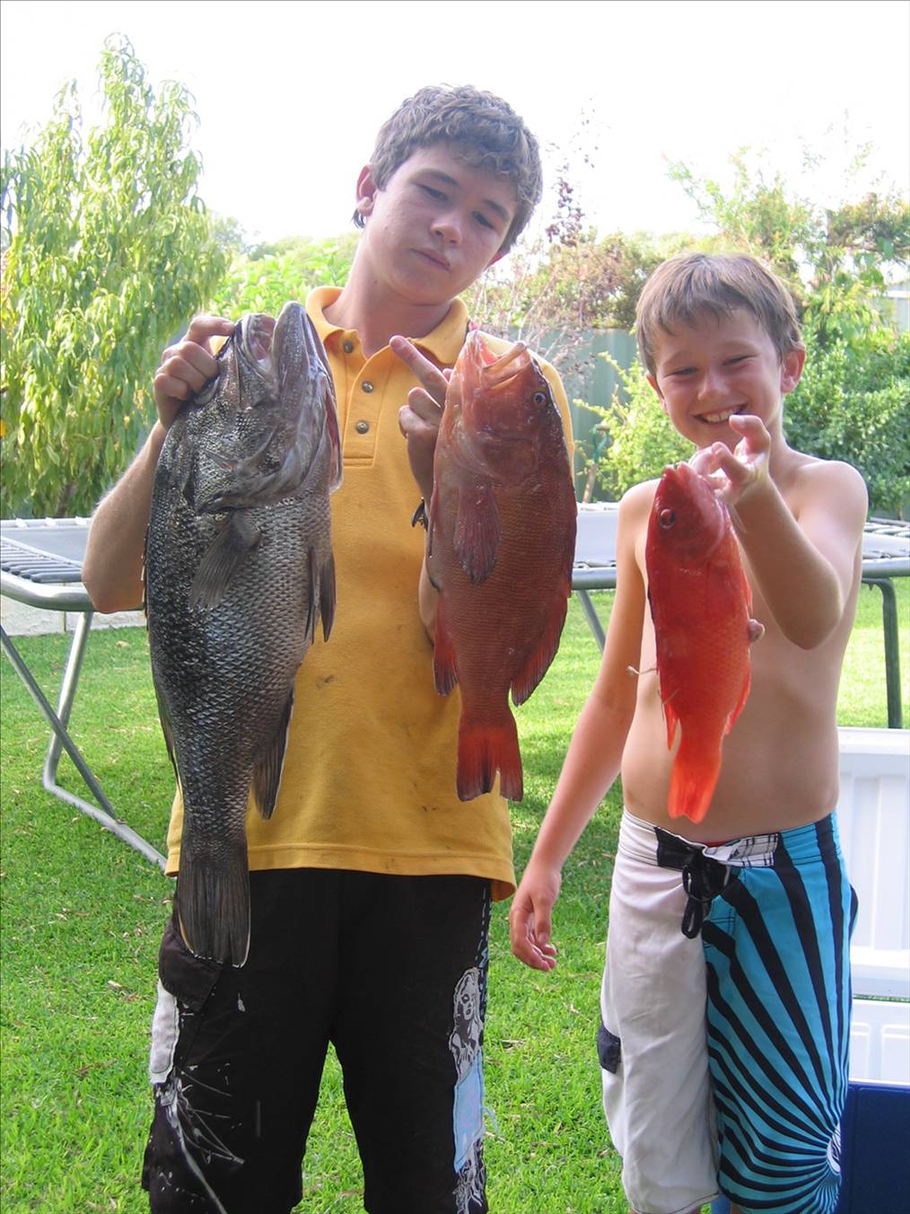 nice day out 2 dhuies, 1 blackass, 1 pinky and 2 sambos
