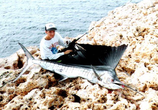 Sailfish i caught from the cliffs of steep point over 10 years ago