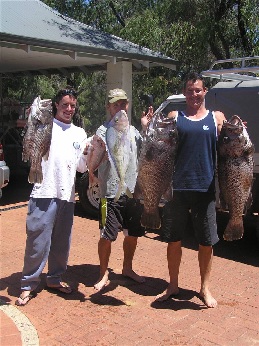 Not a bad days fishin in the sw!