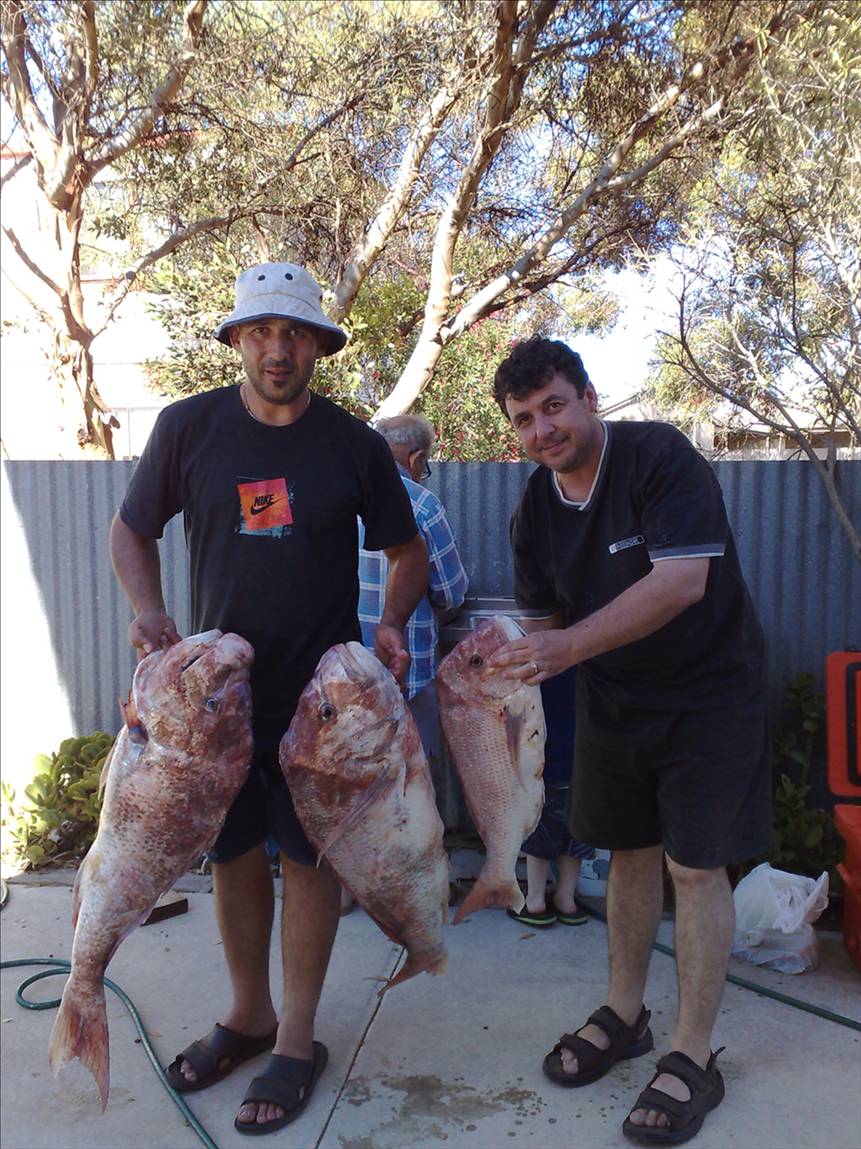 12.5KG -12.0KG AND 5KG BIG BOYS AT PORT VINCENT SECOND POLE AT ORONTES 