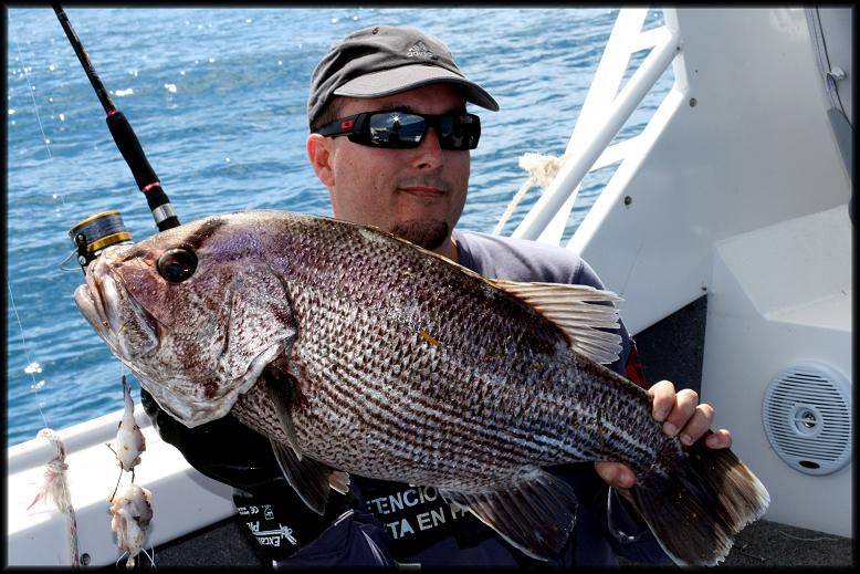 9kg dhuie caught on a fillet of rainbow trout!.  