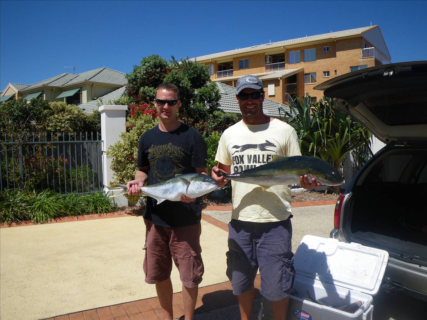 couple of kings from nth solitary islands