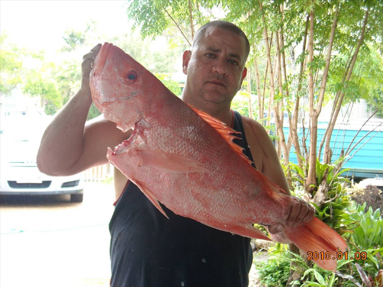 joe and friends out on undine reef north queensland