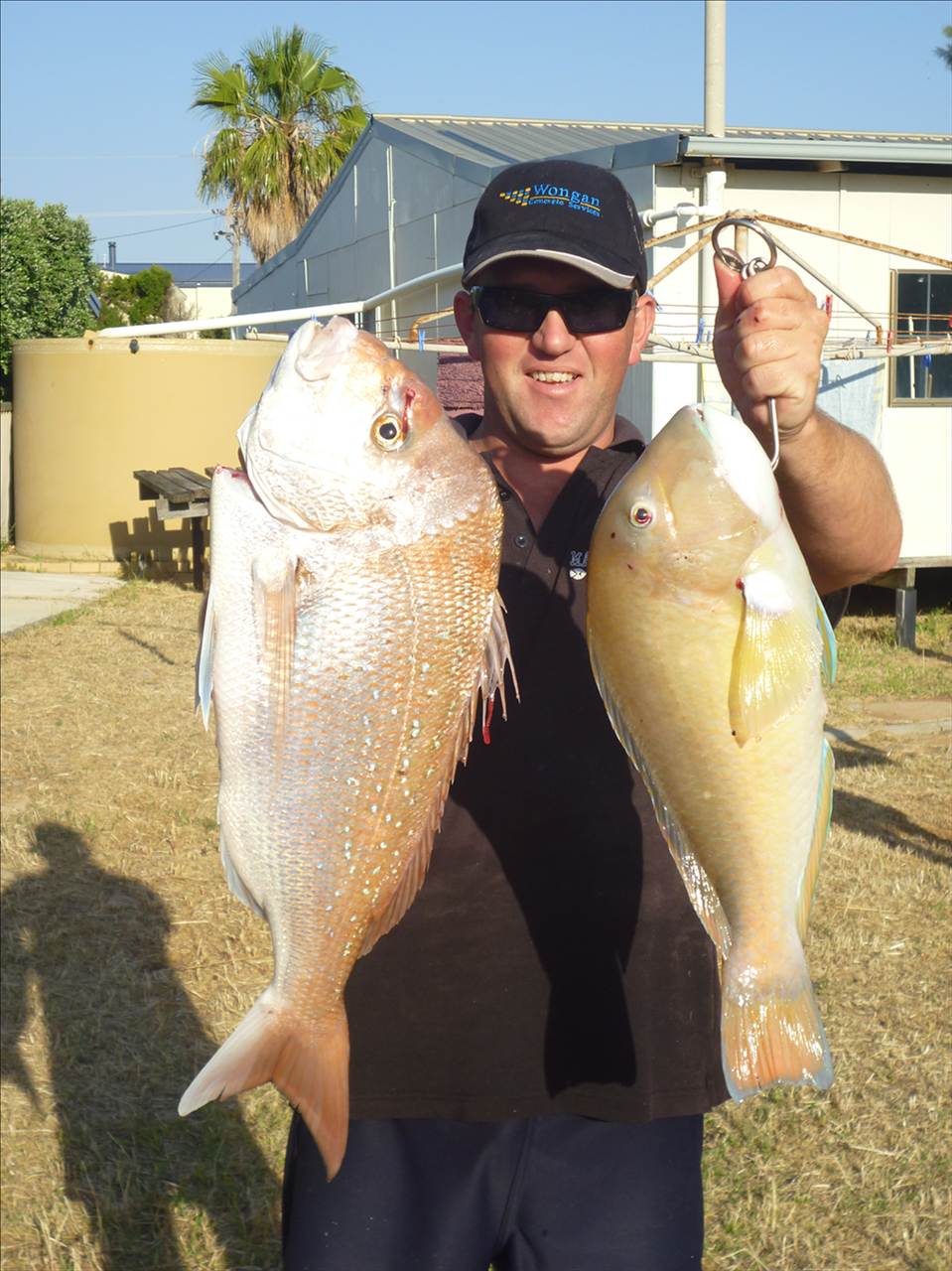 Morto with a couple of nice ones