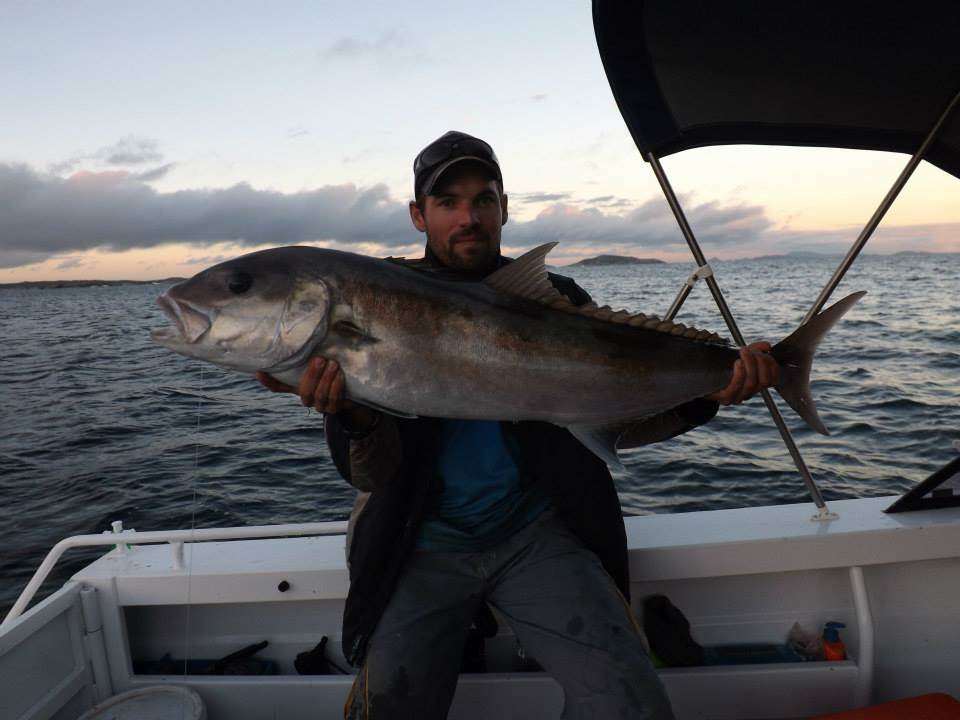Another Shallow Water Sambo caught off the coast of Esperance