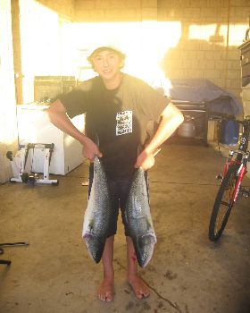 2 salmon I caught last weekend, Canal rocks