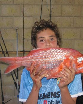 Nice nanangyai 5miles off cape naturalist