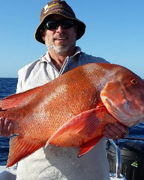 13.7 RED