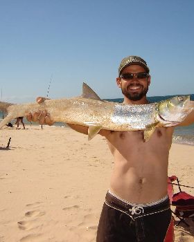 giant herring yeeha