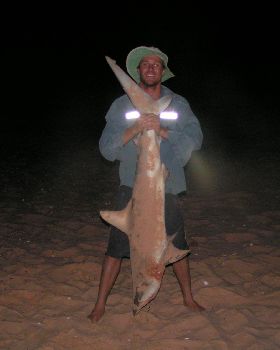 bronzey