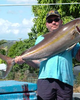Amber Jack 17kg