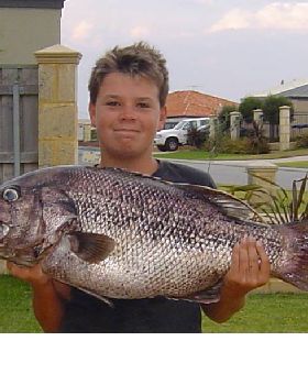 nice fish