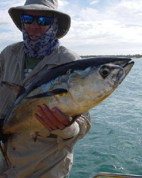 longtail tuna time