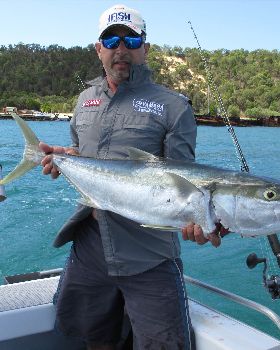 kingfish