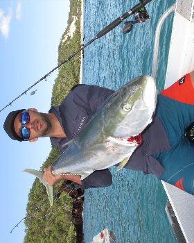 kingfish