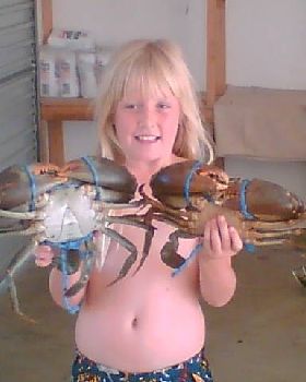 crabsat cabulture river
